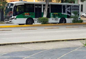 Vandalismo en unidades de RUTA Línea 3 afecta servicio