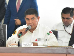 Puebla registr&oacute; 85 incendios forestales