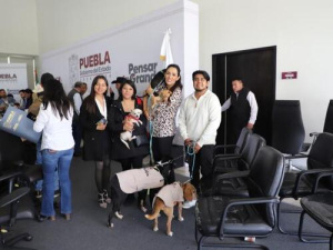 IBA lanza campañas a favor de seres sintientes