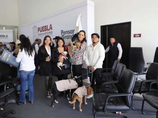 IBA lanza campañas a favor de seres sintientes