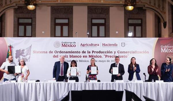 México impulsa producción de maíz blanco
