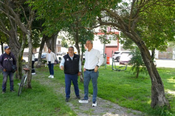 Avanza rehabilitación del parque Las Palmas