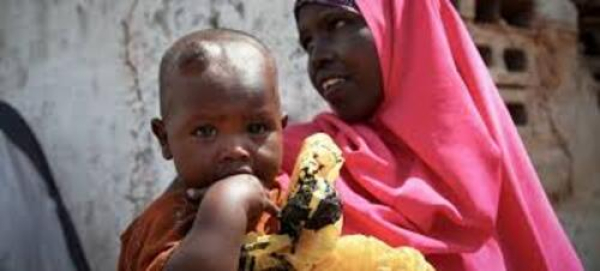 Familias padecen hambruna por la sequía