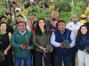 Puebla cumple meta de reforestación