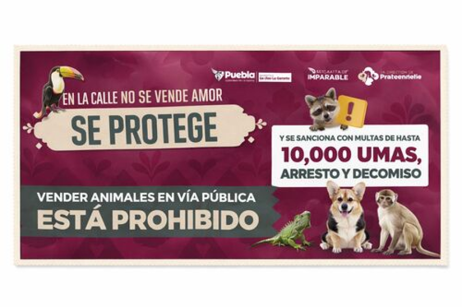 Prohibida la venta de animales en v&iacute;a p&uacute;blica