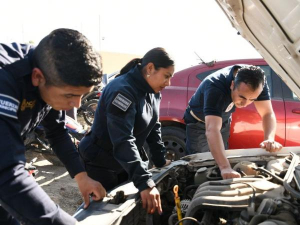 Capacitan a SSP en detección de vehículos robados