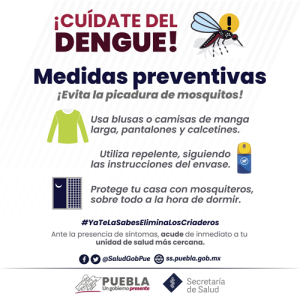 Registra Puebla 35 nuevos contagios por dengue: Salud