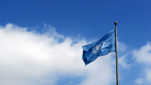 Bandera de la ONU 