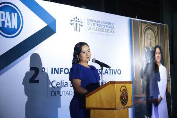 Trabajo legislativo cercano a la gente: Celia Bonaga