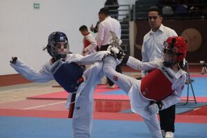 Puebla brilla en Taekwondo con siete medallas