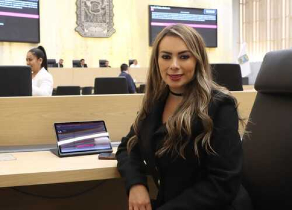Plantean ley para regular valet parking