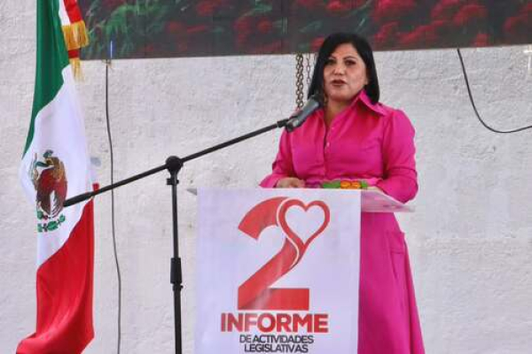 Leyes a favor de grupos vulnerables: Araceli Celestino