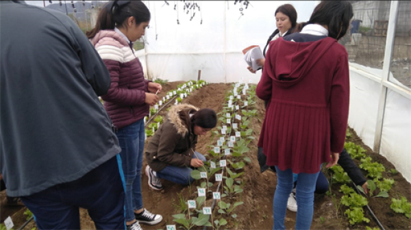 Granjas Carroll pone en marcha Huerto e Invernadero Escolar