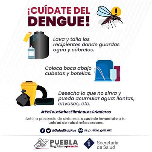 12 nuevos contagios de dengue en Puebla: Salud