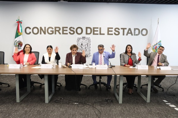 Comisión pide documentación digital para transportistas