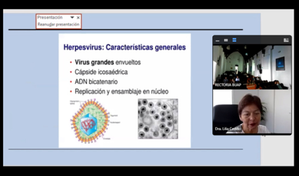 Las enfermedades infecciosas, un problema recurrente en el país