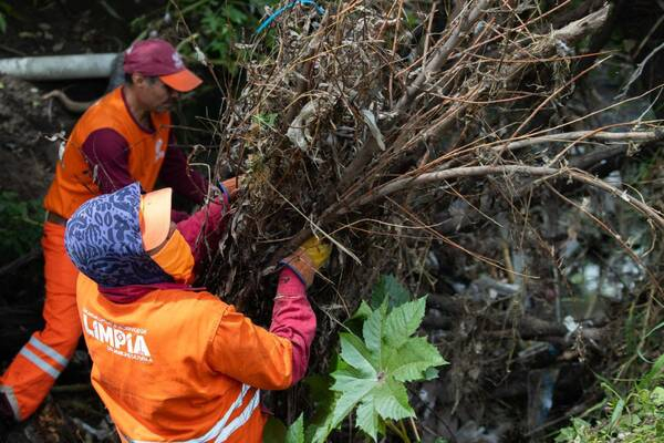 Realizan limpieza preventiva en Caleras