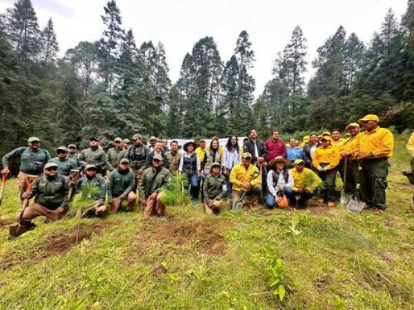 Puebla refuerza Atoyac con 94 mil plantas