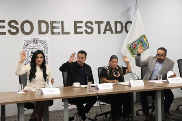 Comisión pide reforzar vigilancia con tecnología en Puebla