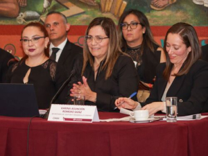 Puebla Capital es transparencia y gobierno abierto: García González