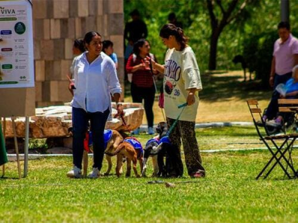 Preparan segunda edición de Adopta Fest