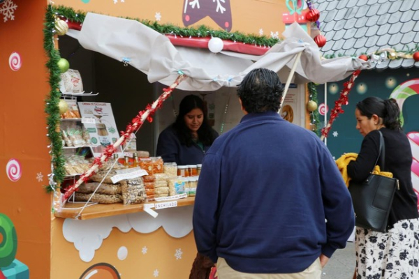 &iexcl;Vive la Villa Artesanal Navide&ntilde;a 2025!