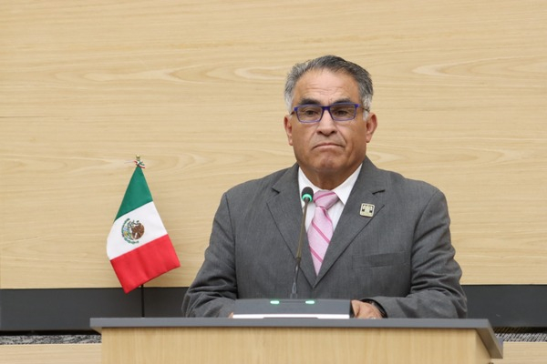 Más facultades municipales para limpiar lotes baldíos