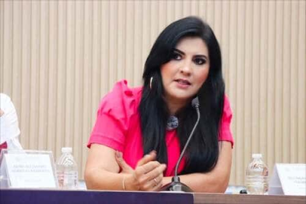 Impulsan reglas para Concejos Municipales