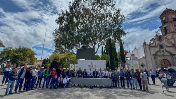 Granjas Carroll dona 9000 árboles en tres regiones afectadas por incendios