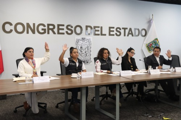Pide Comisión atender salud mental infantil