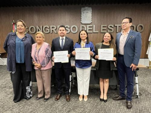 Derechos Humanos en el Servicio P&uacute;blico: Congreso