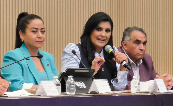 Plantean reformas para mejorar el servicio de agua