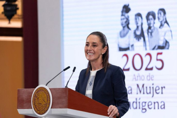 Este año, el Gobierno Federal construirá 186 mil viviendas