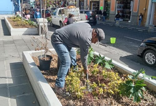 Mantenimiento a Plazuela Sor Juana In&eacute;s de la Cruz