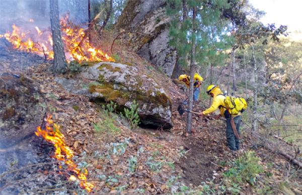 Se lograron atender 301 incendios forestales en Puebla