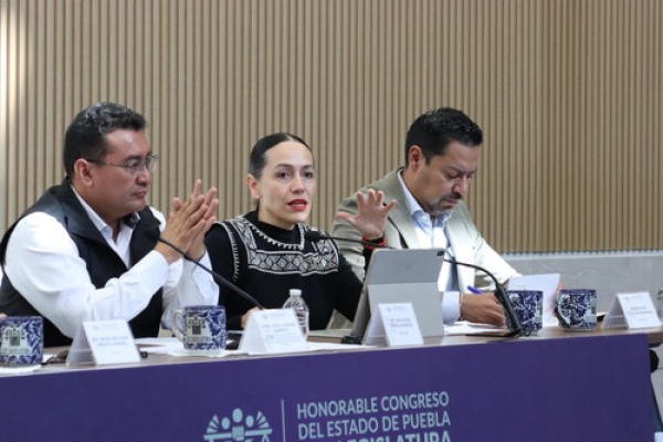 Iniciativa sobre regulación de celulares casi lista: Gómez