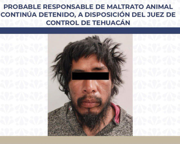 Probable responsable de maltrato animal continúa detenido