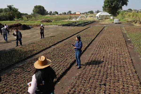 Atienden daños por granizada en Atlixco
