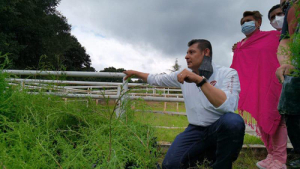 Transformemos el Campo Poblano, programa que mejorará la agricultura: Armenta