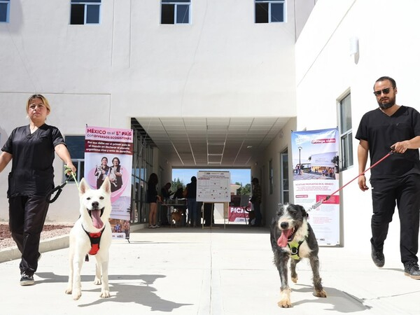 Célula de Bienestar Animal llegará a Totimehuacán