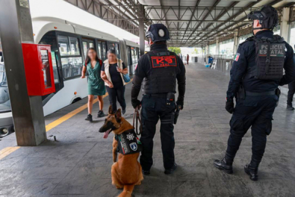 En primeros días de septiembre, se logran 91 detenciones: SSP