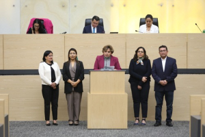 Certeza jur&iacute;dica y regulaci&oacute;n de motocicletas: Congreso