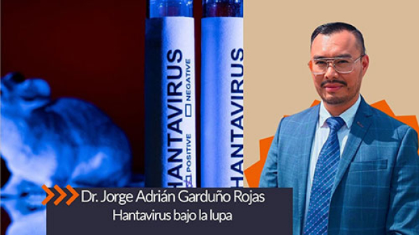 Hantavirus bajo la lupa