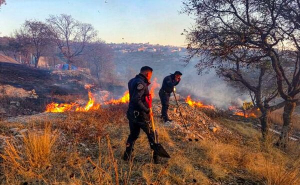 Policía Forestal y Bomberos sofocan tres incendios