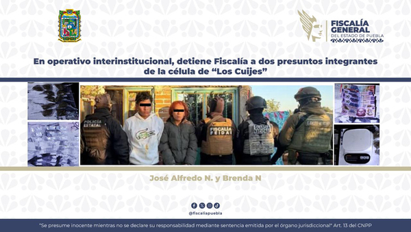 Can presuntos integrantes de “Los Cuijes”