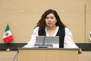 Proponen Fiscal&iacute;a de Violencia de G&eacute;nero