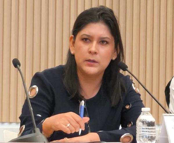 Prohibir y sancionar uso de armas simuladas: Tepole