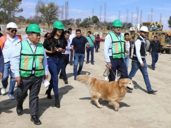 Seres sintientes requieren cuidado: Armenta
