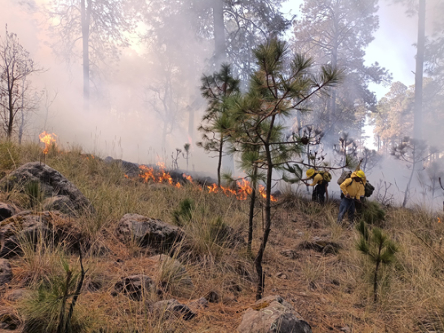 119 incendios fueron sofocados