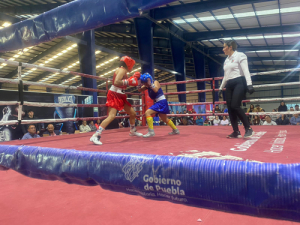 Fue éxito el torneo de los Guantes de Oro de Boxeo